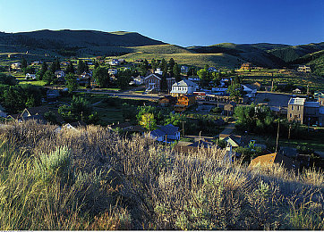 向日葵视频色|“向日葵色彩新潮流,智能环保领航高品质汽车生活体验”-4