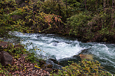 脱裤子打jk白丝校花屁股｜JK白丝校花车型亮相：运动时尚设计，强劲动力配置，引领市场新潮流-5
