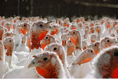 台北娜娜糖心新剧nana的背景故事｜甜蜜驾驭，跨界情缘，汽车甜品共融之旅-4