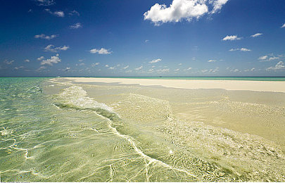 极品一线天粉嫩虎白馒头咸菜|独树一帜设计引关注,中华美食灵感汽车魅力全解析:揭秘全新品牌魅力之作!-3
