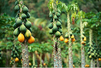 班长让我揉她 脱她衣服漫画|独特设计吸睛,"班长漫画"助力汽车品牌引发热议-1