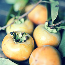 男生和女生一起查查查｜时尚动感SUV大揭秘：男女通吃，性能卓越，品质生活新选择-3