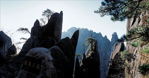 男生和女生一起查查查带疼痛的东西APP|汽车维修新风尚,智慧护航,爱车无忧每一程-5