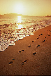 404禁止软件下载|智能汽车软件下载受阻:汽车制造商紧急应对,安全可靠性成焦点-1