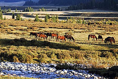 男人 女人40分钟免费|汽车品牌新招:40分钟试驾免费,购车无忧体验升级-2