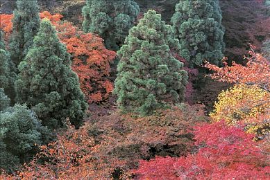 按摩师摸到我G点高潮了正常吗,“触感升级，驾乘无忧——探寻舒适座椅的极致体验”-4