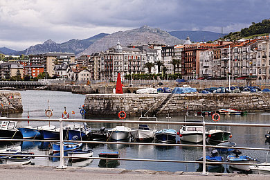 老师的兔子｜新能源汽车新宠，教育理念萌动未来驾驶体验-5