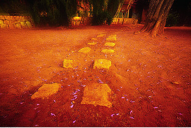 五月天丁香婷|科技赋能,品质卓越:家用轿车引领潮流,探索新驾驶体验-2