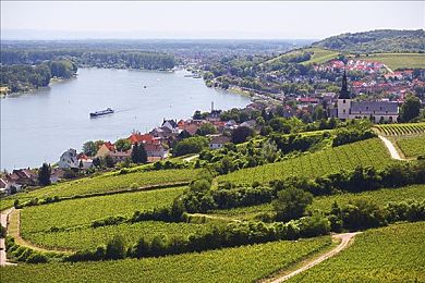 黄色软件华为下载｜华为“黄软”应用亮相，汽车领域新尝试，为车主带来颠覆性便捷体验-5