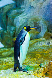 69人人人人人｜新能源风采，驰骋未来潮流之翼-2