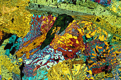 兽娘通信1-3集｜科技先锋与环保未来：动画启示录中的汽车行业变革新动向-3