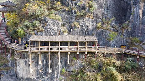 十大禁止安装应用｜驾驶安全警钟长鸣：揭秘禁止安装的十大手机应用，车主必看！-5