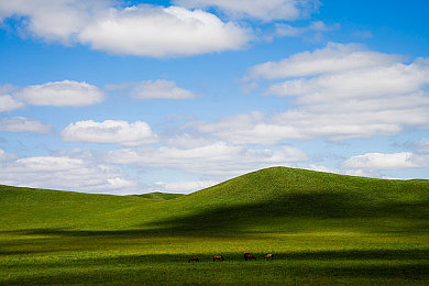 兽娘通信牛娘贝尔星空动漫｜星河跨界，智享未来驾驶之旅-2