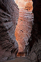 spy2wc欧美撒尿wc凹凸|独特设计引领潮流,智能技术保障安全,"spy2wc欧美撒尿wc凹凸"汽车打造全新驾驶体验-1