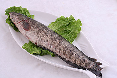 黄色软件2025|2025年汽车革命:智能导航、自动驾驶,引领环保出行新体验-2