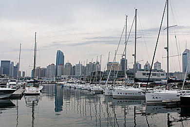 花吸子|汽车配件新潮流:个性化设计“花吸子”引领时尚风潮,美化车辆提升驾驶体验-1