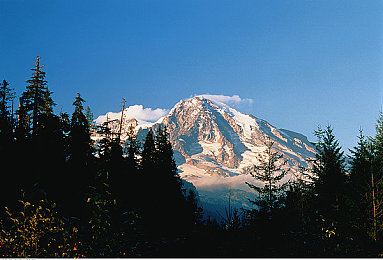 黄色破解版|创新科技引领潮流,“绿色破局者”惊艳上市,引领汽车新风尚-5