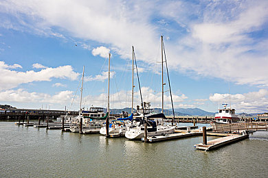 汤姆视频温馨提醒友情提醒|行车安全,细节决定人生轨迹-2