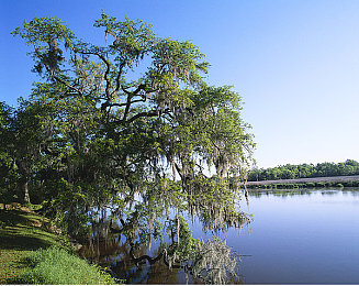 黄片软件在哪下载|科技护航,行车无忧,安全驾驭新境界-3