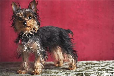 同性男互摸jiji秘 网站|“情感导航,智驾未来——颠覆传统,个性出行新纪元”-3