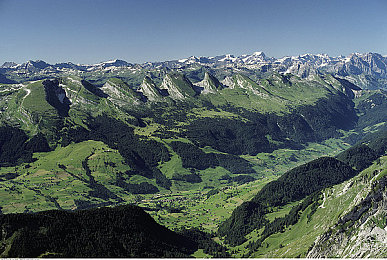 客官不可以下载-1