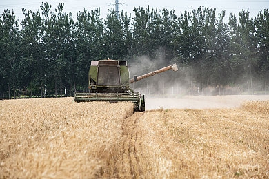 omakmantauzunhaya版本号8696|全新科技霸主亮相:Omak Mantau Zunhaya版8696,性能卓越,设计独特,智能安全,引领未来汽车潮流-2