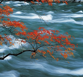 火影忍者超污游戏｜“跨界营销新潮流：汽车品牌玩转“火影忍者”，创新设计吸引年轻消费者眼球”-2