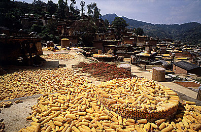 欧美日韩一卡2卡三卡4卡新区｜汽车市场风云变幻：新能源汽车与传统燃油车型齐头并进，各大品牌新车亮相抢眼-1