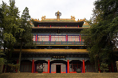 6月电子厂全景沟厕拉屎|汽车电子厂创新如厕系统,人性化设计引领行业发展新潮流-4