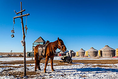 黑人又粗又长|极致性能与创新科技,未来汽车潮流引领者:揭秘全新概念车型魅力所在-1