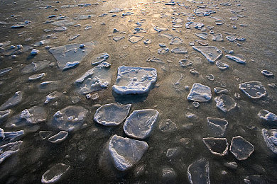 国产三级农村妇女做受｜农村女性购车热潮兴起，国产汽车品牌深耕市场助力梦想成真-4