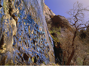 乡下三级农村妇女｜农村妇女购车新趋势：实用、经济、美观，汽车生活更便捷-1