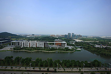 大象影视传媒ceo入口门户官网|新能源汽车崛起:挑战与机遇并存,产业升级势不可挡-3