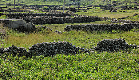 黑料网曝大瓜｜“知名汽车品牌旗下车型质量问题频发，厂家紧急召回并承诺免费维修，警示行业加强品质把控”-2