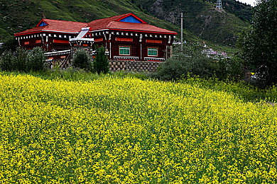 两个人打扑克剧烈运动｜激情对决，扑克挑战：特斯拉Model S车手以卓越表现夺汽车赛事冠军，展现驾驶乐趣与竞技魅力-1