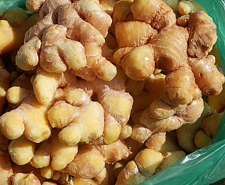 黄色软件app大全免费下载｜车主必备！全面实用安全，汽车服务软件免费大推荐，轻松应对用车难题-1