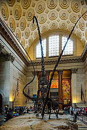 打扑克的剧烈运动｜脑力激荡，指尖舞动：扑克运动精神融入汽车科技，打造智能驾驶新体验-4