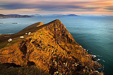 最好看的2019年中文字幕-4