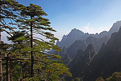 99热热｜时尚动感，性能卓越：新车型引领汽车市场潮流，性价比高受追捧-2