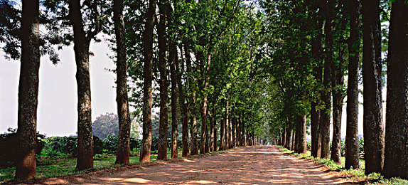 黑料吃瓜热门吃瓜｜汽车风云录：揭秘豪华车坛风云变幻，品质与激情共舞-1
