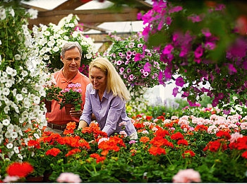 用注水器打水免费处罚软件下载|政府新规助力交通安全,免费软件助力车主改正违规行为,下载攻略揭晓!-2