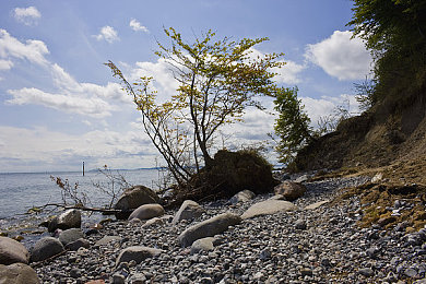 免费欧美性爱|汽车行业新标杆:科技驱动,智能驾驶伴侣打造未来出行新体验-2