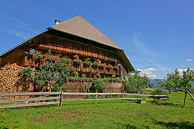 黄色软件下载大全免费OPPO｜OPPO新推“一键畅享”软件平台，海量应用免费下载，提升用户体验-5