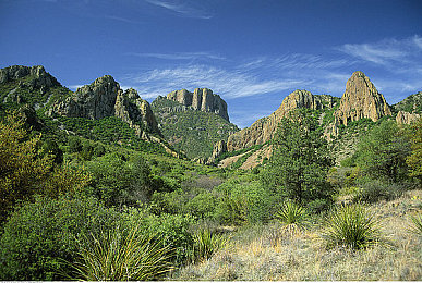 一个人看的ww视频｜汽车品牌创新营销，科技盛宴“一人自驾”视频引热议，揭秘智能驾驶与环保未来-1