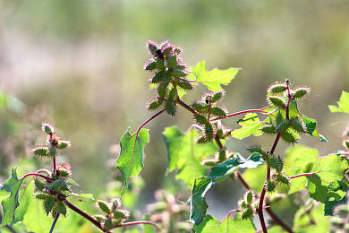 老妇女擦他毛耸耸隂户｜“风华绝代，动力非凡——毛耸隂户引领科技潮流”-2