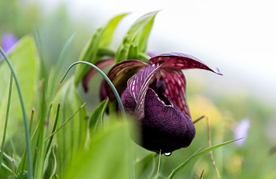 少妇厨房与子伦厨房使用方法|汽车新潮来袭:跨界融合,厨房与导航两车创新体验震撼登场-1