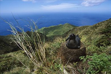 激情五月丁香六月婷婷|创新设计引领潮流,全新SUV强势登陆市场,期待成为热门之选-2