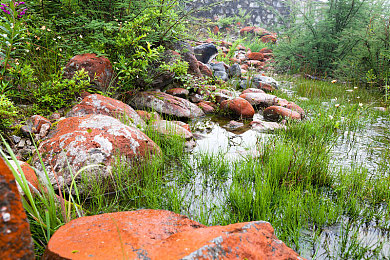 三上悠亚和波多野结衣的区别|“明星车型选择揭示消费趋势:个性运动与舒适空间成年轻购车新风向”-2