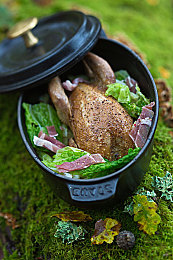 艳星juliaann熟妇厨房｜“时尚SUV惊艳亮相，智能配置卓越，艳星助力，引领未来出行潮流”-1