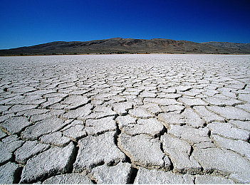 黄色观看|科技领航,智能出行:引领未来绿色出行新潮流-3